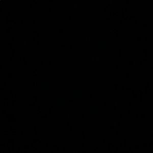 Meet your Posher, Libby